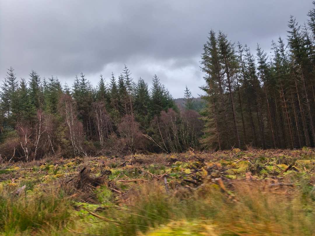 Highland Titles Nature Reserve-Duror必去景点