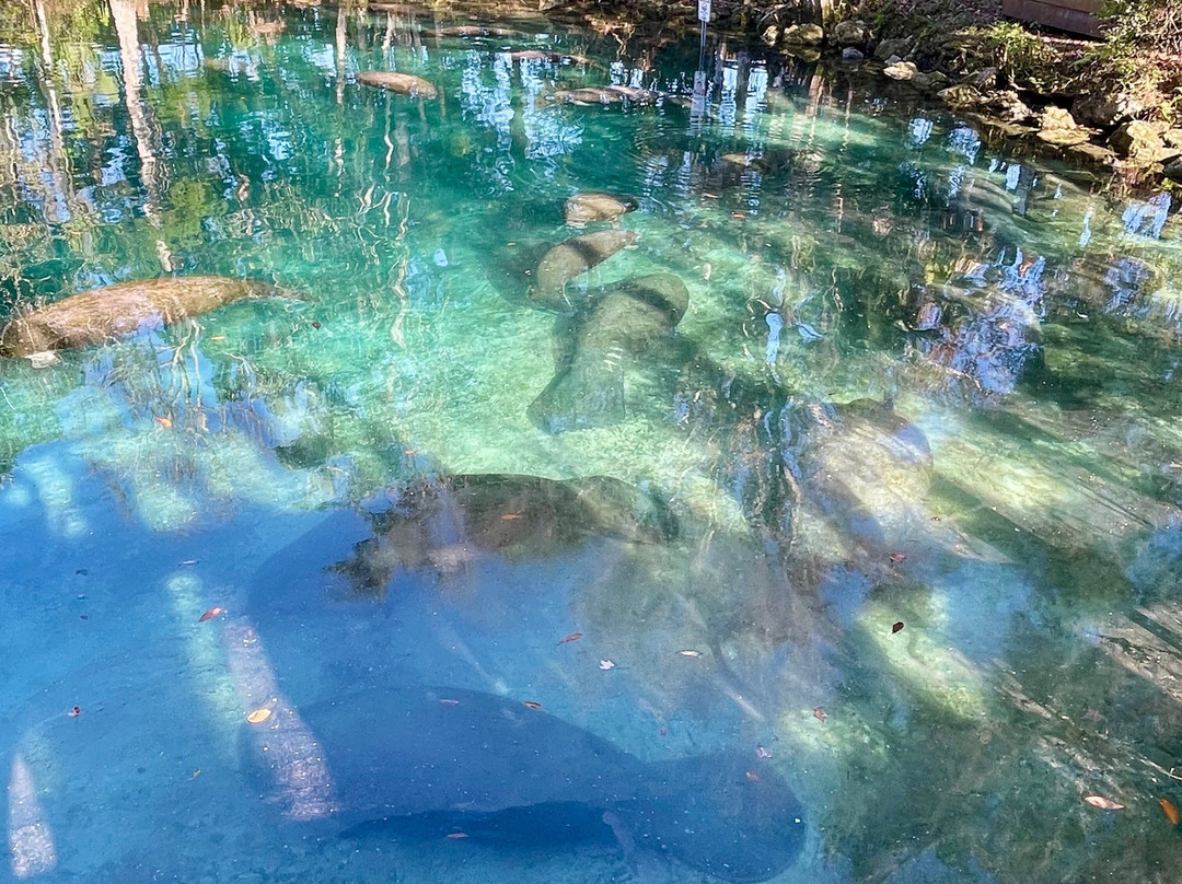 Three Sisters Springs-克里斯特尔里弗必去景点