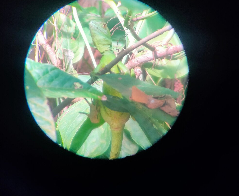 Manuel Tour Guide-卡维塔必去景点