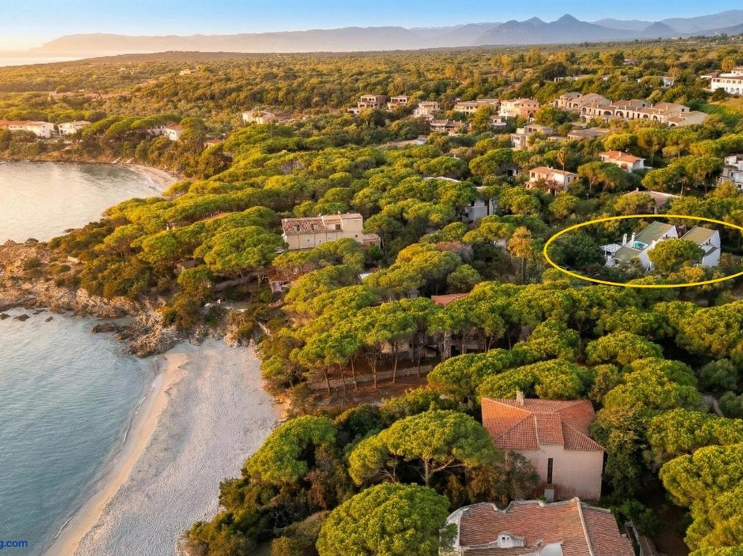 Villa Alba - Appartamenti A 75 M Dal Mare