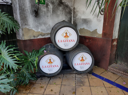 Bodegas Hidalgo La Gitana-Sanlucar de Barrameda必去景点