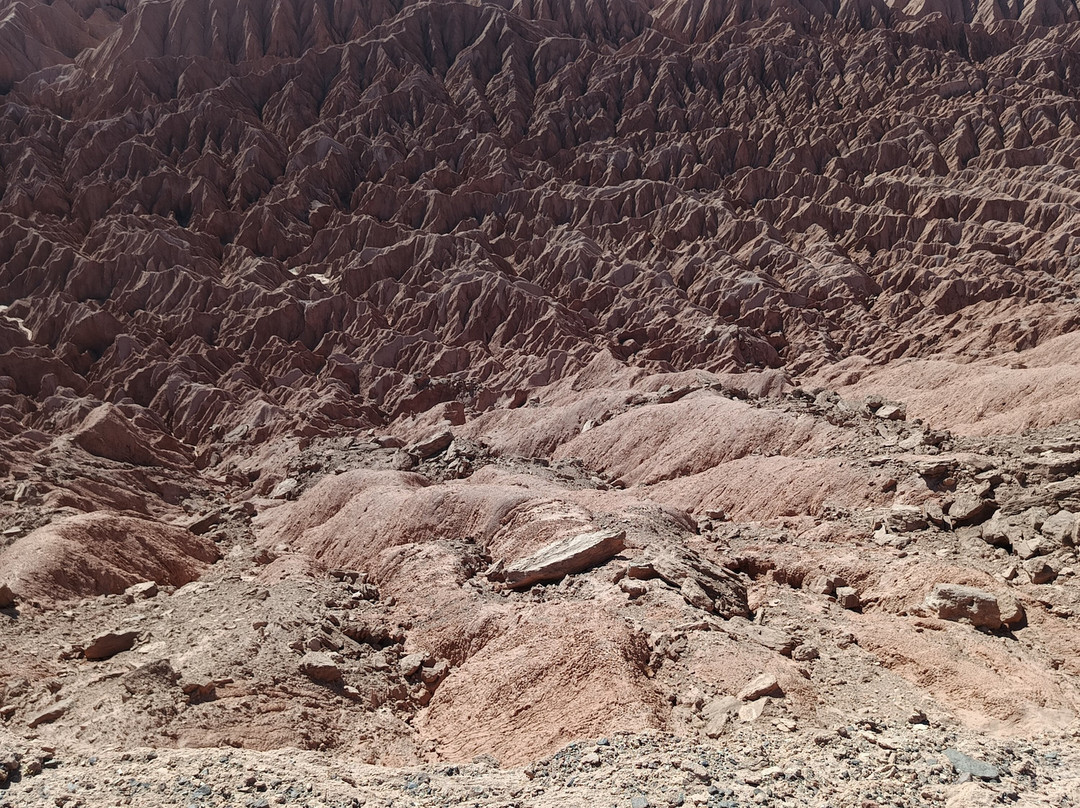 San Piter Bike-圣佩德罗-德阿塔卡马必去景点