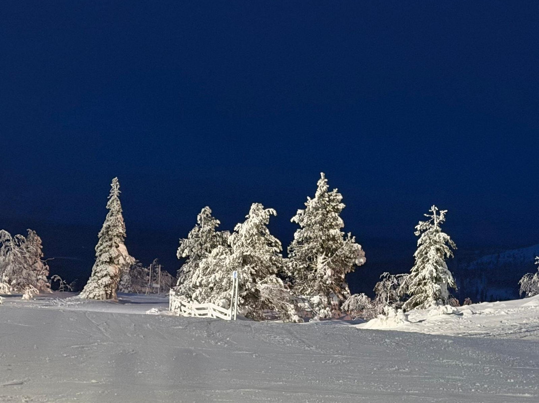 Salla Ski & Active-Salla必去景点