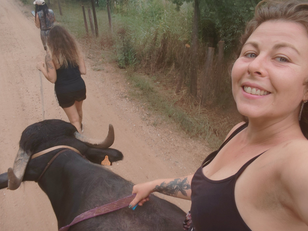 Les Animaux De Fairytale-Cap-d'Agde必去景点