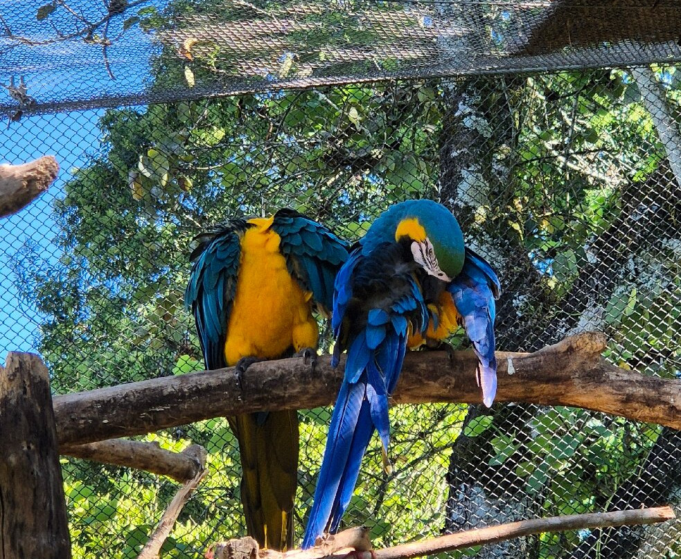 Dreams Park Show-伊瓜苏必去景点