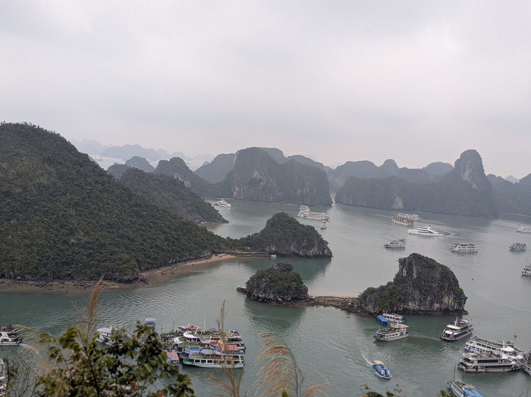 Verdure Lotus Cruises-团洲岛必去景点