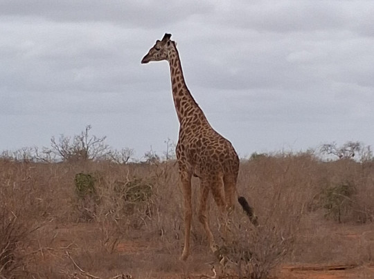 Biggym-瓦塔木必去景点