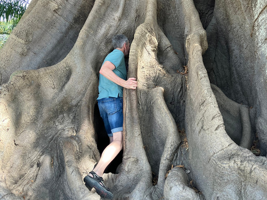 Buba's Gambia - Tours-塞瑞库达必去景点