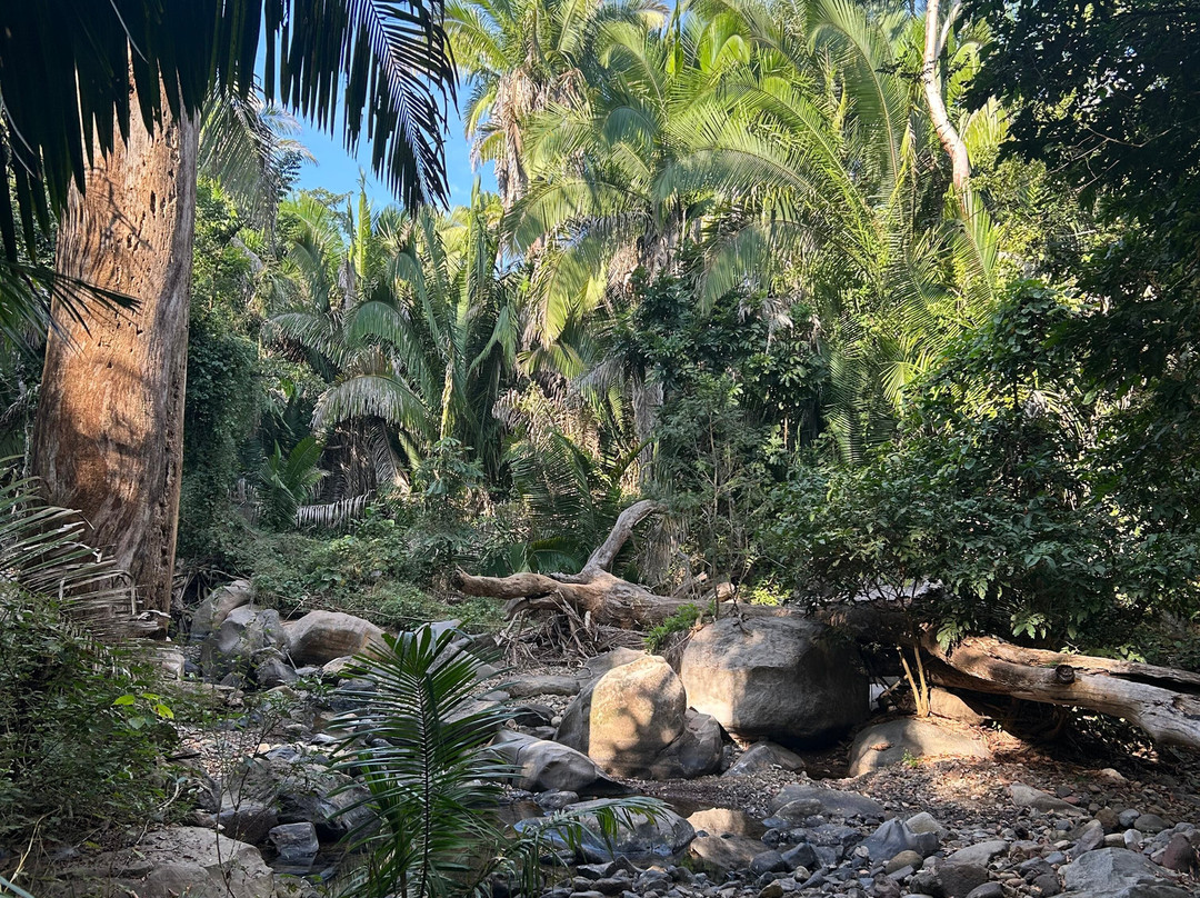 Mystic Embrace-Chacala必去景点