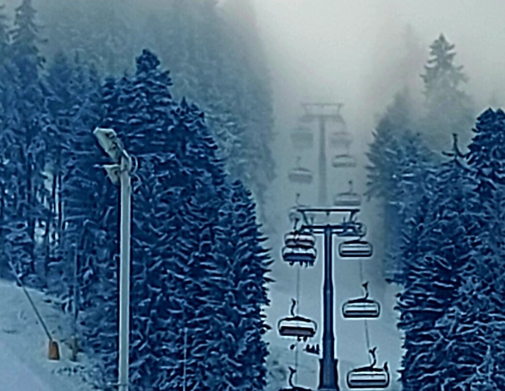 Ski Shop "CharSki"-波罗维兹必去景点