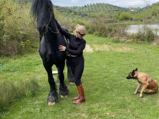 Horse Farm Santo-Elbasan必去景点