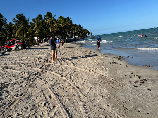 Dream Tours-嘎林海斯港必去景点