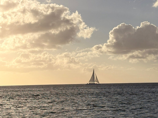 Tropical Paradise Excursions-Bayahibe必去景点