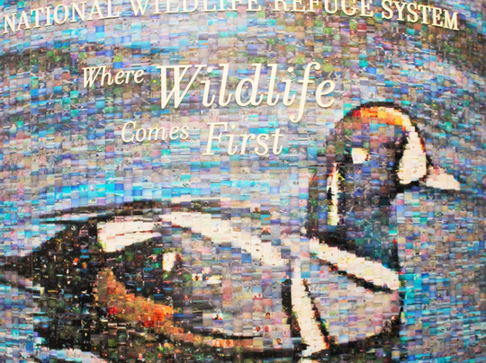 Kettle Pond Visitor Center-Charlestown必去景点