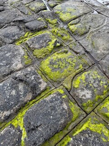 Tessellated Pavement-伊格尔霍克内克必去景点