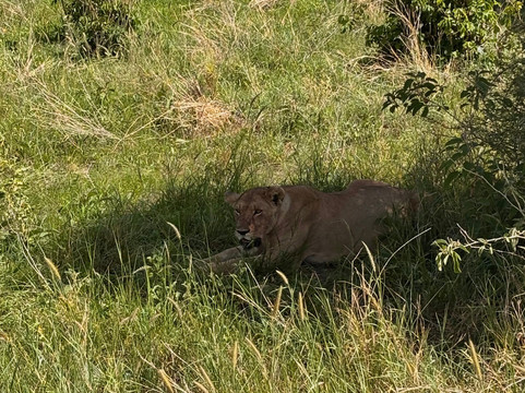 African Skies Tanzania-阿鲁沙必去景点