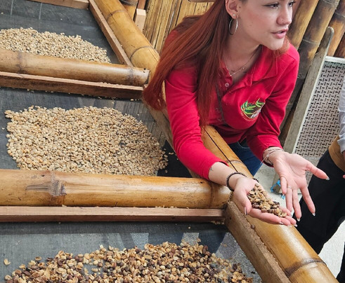 Finca Cafetera Don Elias-萨伦托必去景点