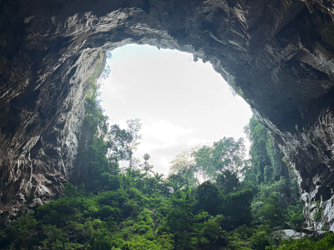 Jungle Boss Tours-峰牙－己榜国家公园必去景点