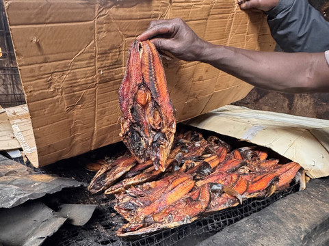 Tanji Fishing Village-Tanji必去景点