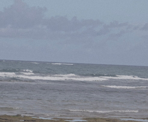 Pitinga Beach-Arraial d'Ajuda必去景点