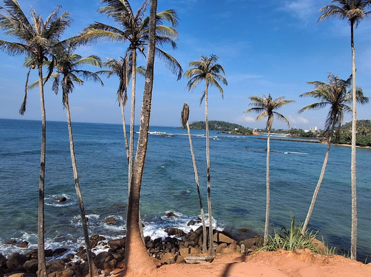 Coconut Tree Hill-美蕊沙必去景点