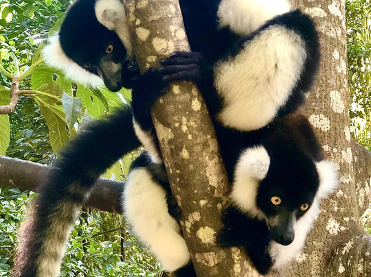 Nosy Be Tour Con Rico Aime-Hell-Ville必去景点