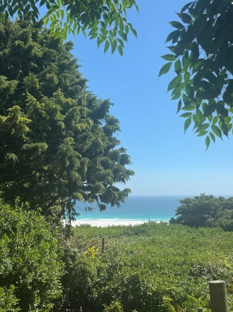 猴子谷海滩自然度假村-官方