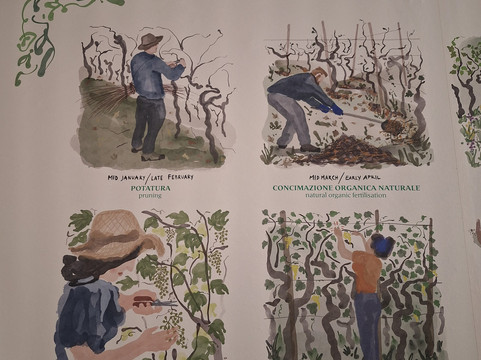 Bisol Vitivinicoltori-Valdobbiadene必去景点