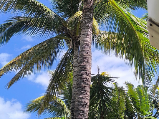 La Maison Du Coco-圣亮必去景点