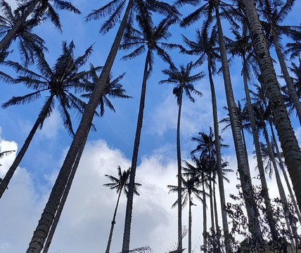Mirador Valle De La Samaria