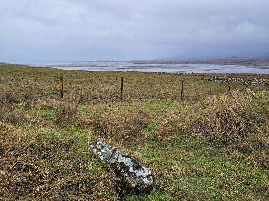RSPB Loch Gruinart Reserve-Bridgend必去景点