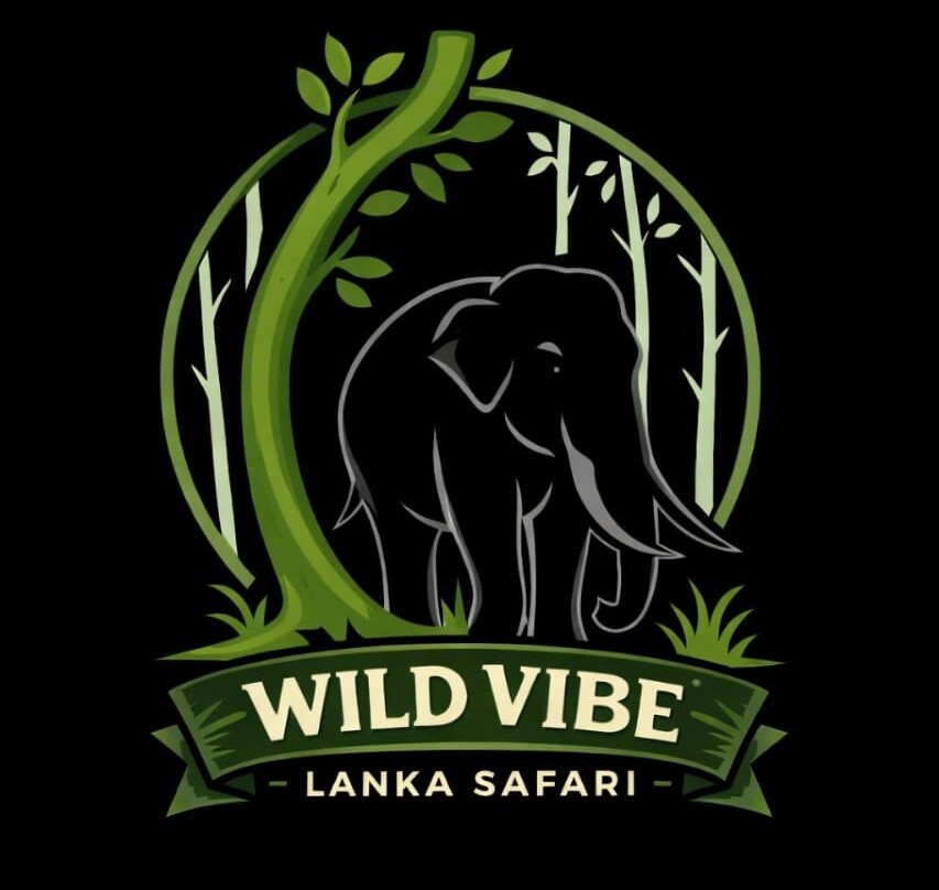 Wild vibe Lanka safari-哈巴拉娜必去景点