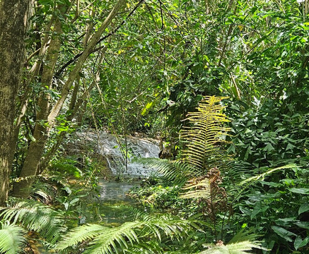 Parque Estadual da Lapa Grande-Montes Claros必去景点