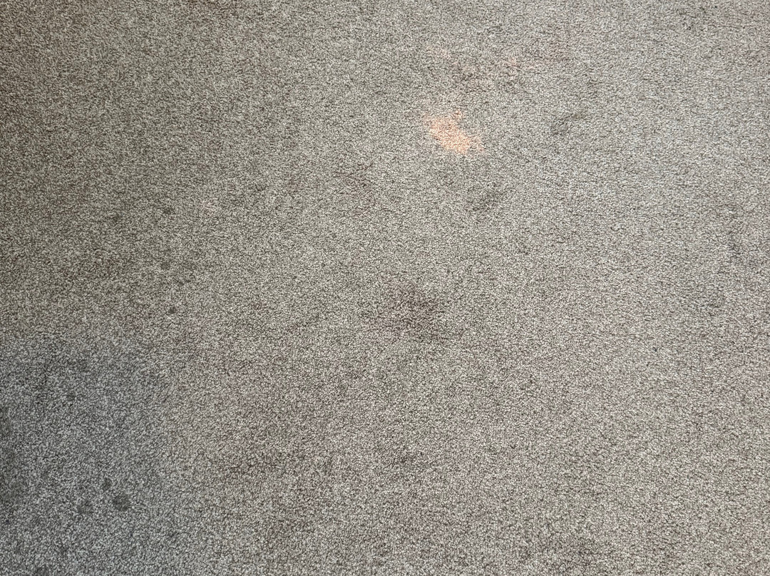 Gästehaus Alte Schule主图