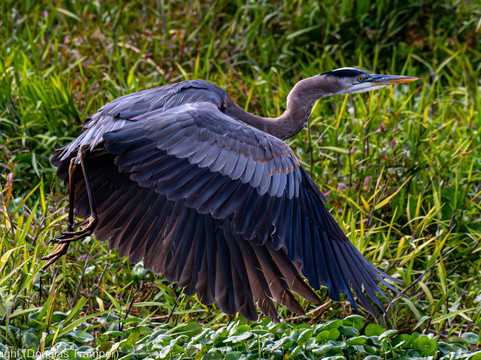 St. John's River Eco Tours, LLC-DeBary必去景点