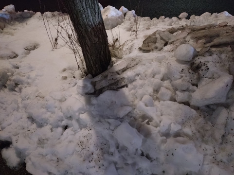 新泻多美迎天然温泉酒店(多美迎・御宿野乃 酒店集团)主图