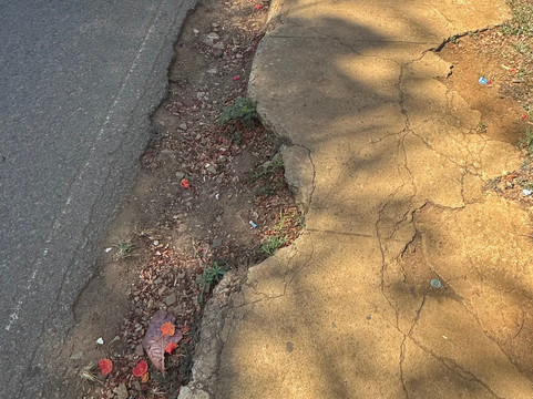 Vila dos Remedios-费尔南多-迪诺罗尼亚群岛必去景点