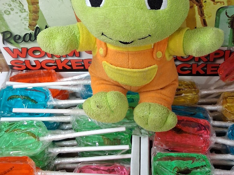 Santa Cruz Chili & Spice-Tumacacori必去景点