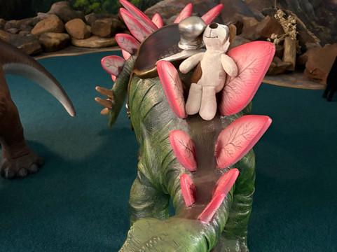 Crystal Kingdom Museum-Coonabarabran必去景点