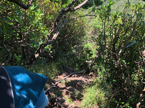 Lord Howe Environmental Tours-豪勋爵群岛必去景点