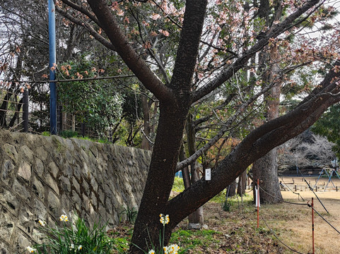 Sugekari Park-目黒区必去景点