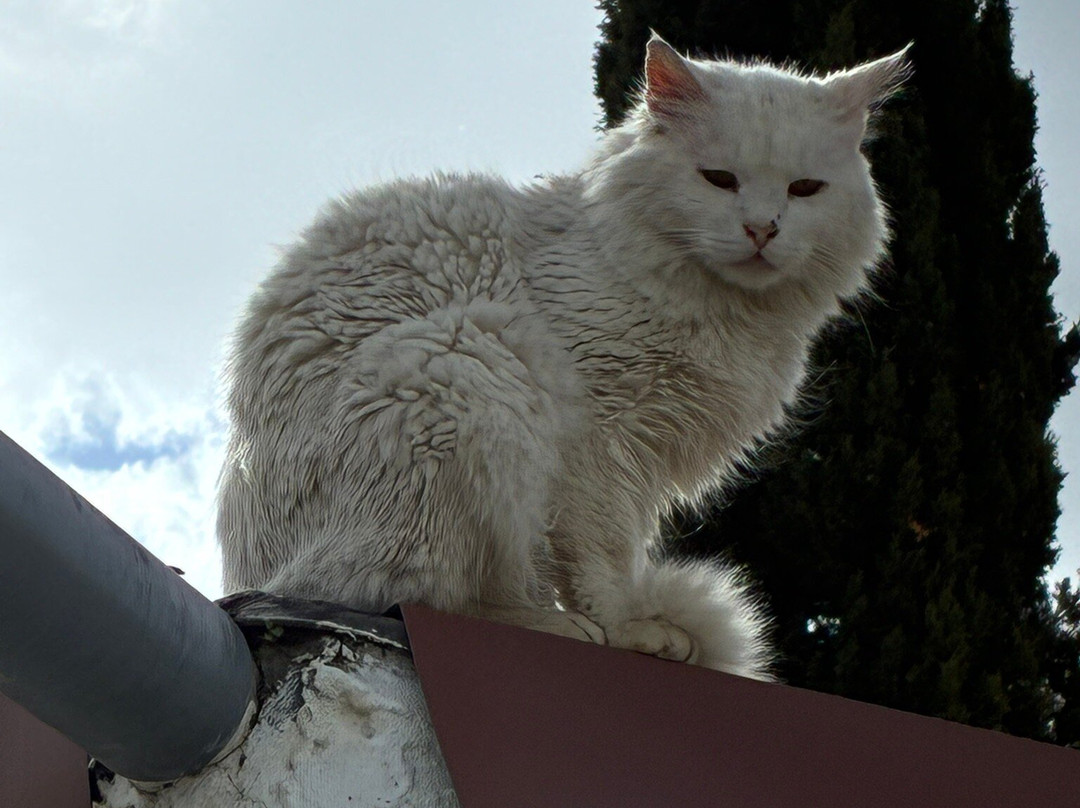 Lania Village-拉尼亚必去景点