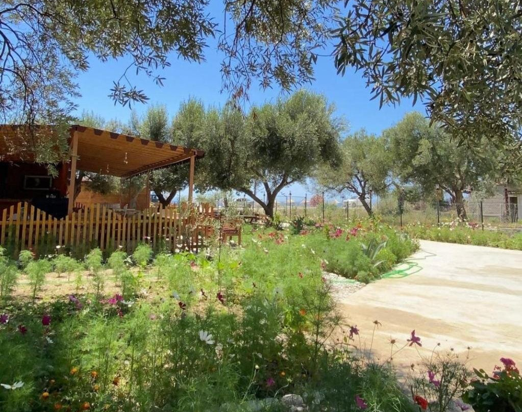 Violet Village