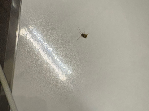 维拉弄宾高尔夫度假村主图