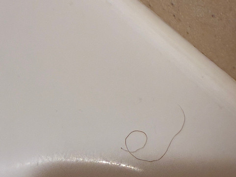 弗兰肯默斯智选假日酒店主图