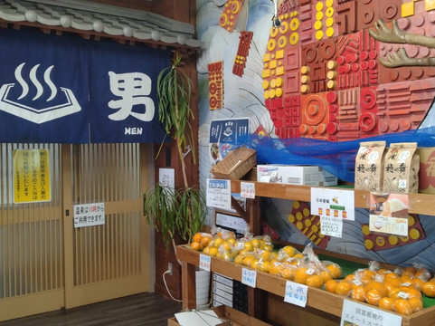 Sun Lupinus-新富町必去景点