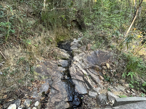 香港仔郊野公园-香港必去景点