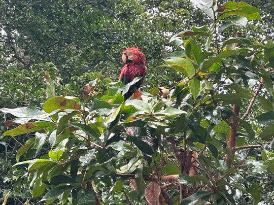 Inca Footsteps-库斯科必去景点