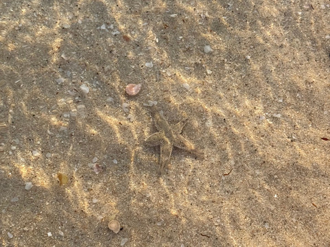 OceanAir Travels Doha-多哈必去景点