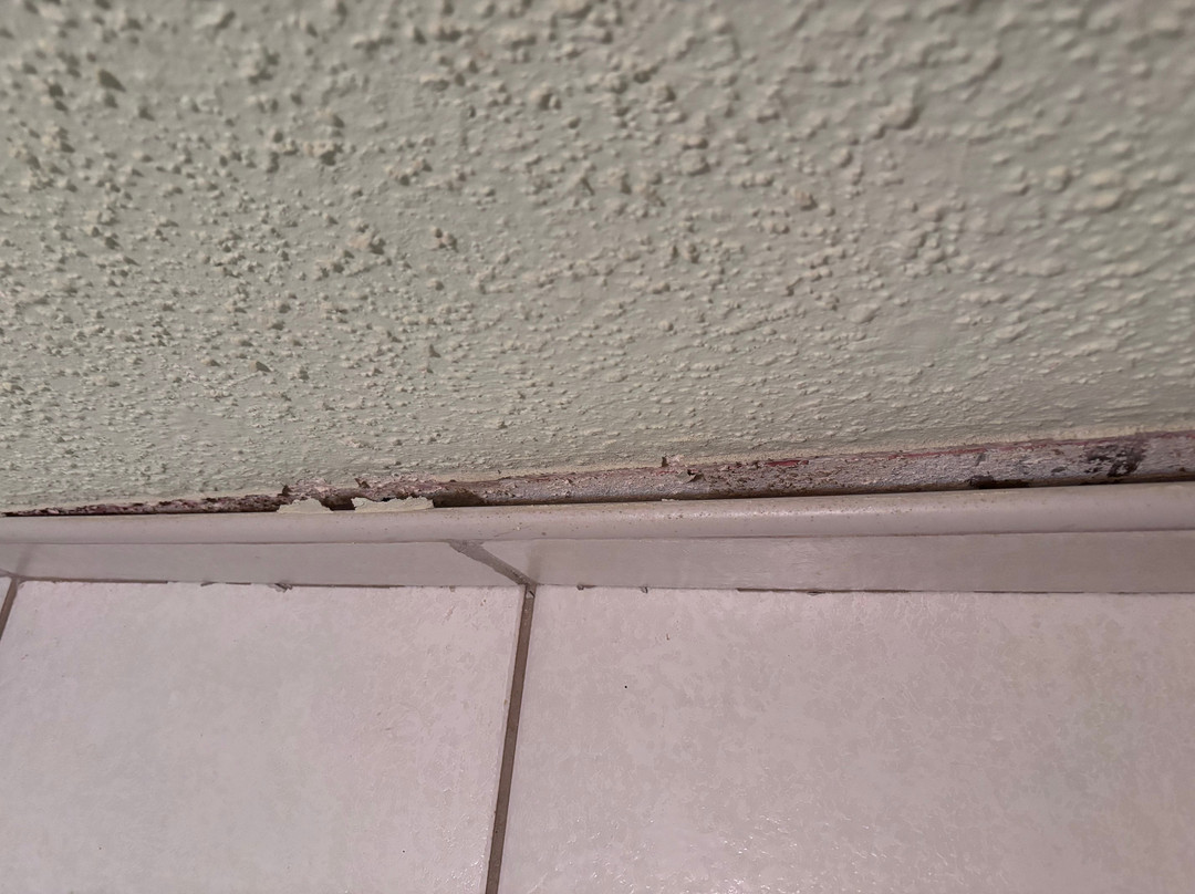 梅花树俱乐部公寓主图